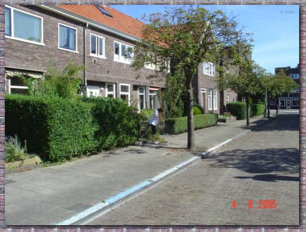 zomer2005 176.jpg